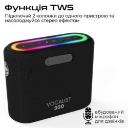 ��������� ������� HiFuture Vocalist 300 Black (vocalist300.black) - �������� 7