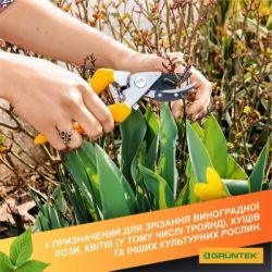 ������� Gruntek Gerfalke ��������, d 18��, 210�� (295108226) - �������� 5