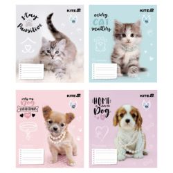 ����� Kite Rachael Hale, 12 �������, ���� ���� (R25-235)