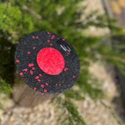 �������� ����� PowerPlay PP-4348 2 in 1 EPP Foam Roller 33x14�� �����/�������� (PP_4348_Red_(33*14)) - �������� 7