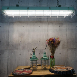 �������� EVROLIGHT L-1500 6400K 24�� G13 T8 - �������� 4