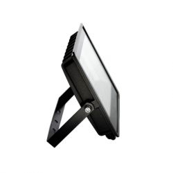 ��������� ��������� ZUM F02-50 6400K - �������� 3