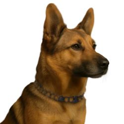 �������� ��� ������ Superium ������ ����������������� ��� ����� 70 �� (9109) - �������� 8