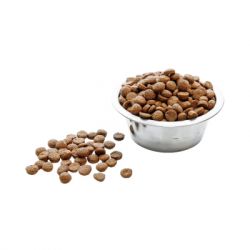     Wise Dog Junior 10  (4820111141234) -  2