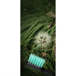 Электрическая зубная щетка Xiaomi Aurora T2 Black - Картинка 3