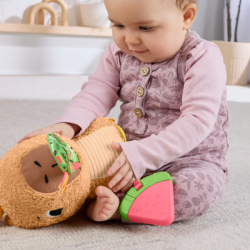 ���������� ������� Fisher-Price ������� (HYR54) - �������� 10