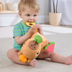 ���������� ������� Fisher-Price ������� (HYR54) - �������� 11