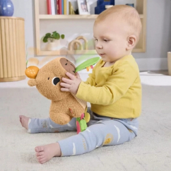 ���������� ������� Fisher-Price ������� (HYR54) - �������� 12