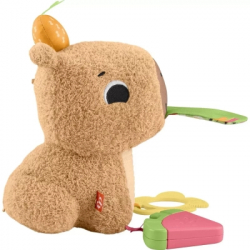 ���������� ������� Fisher-Price ������� (HYR54) - �������� 4