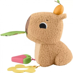 ���������� ������� Fisher-Price ������� (HYR54) - �������� 5