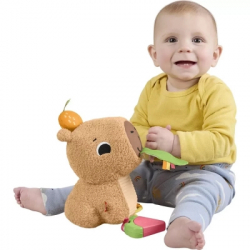 ���������� ������� Fisher-Price ������� (HYR54) - �������� 8