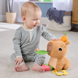 ���������� ������� Fisher-Price ������� (HYR54) - �������� 9