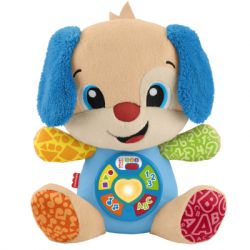  Fisher-Price Smart Stages    (JFD23)