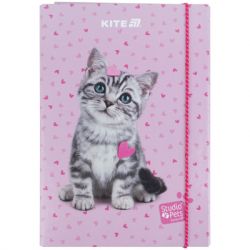 Папка для зошитів Kite В5 на гумці Studio Pets (SP25-210) - Картинка 2