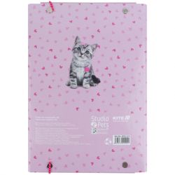 Папка для зошитів Kite В5 на гумці Studio Pets (SP25-210) - Картинка 3