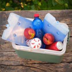 Аккумулятор холода Quest гелевий 23х17,5х2,5 см, 800 мл (Q800) - Картинка 4