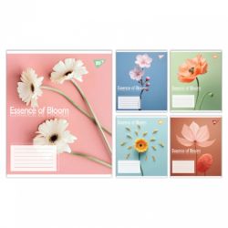 ����� Yes Essence of Bloom �5 24 ������� ���� (767718)