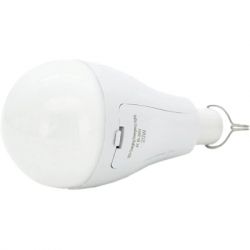 ˳���� Voltronic Emergency Bulb/20W