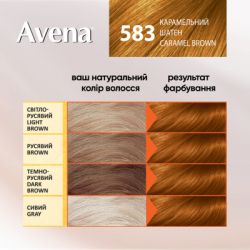    Acme Color Avena Gloss Color  583 -   (4823115502629) -  5