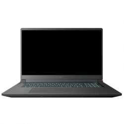  Thunderobot 911 X17 (911X17-i7136H56C1Q165MBD)