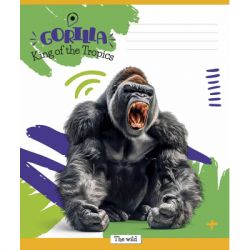 Тетрадь Школярик King of the Tropics 18 листов клетка (018-3421K) - Картинка 4