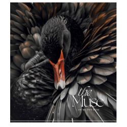 Тетрадь Школярик THE MUSE 48 листов линия (048-3444L) - Картинка 3
