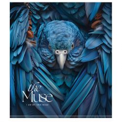 ������� �������� THE MUSE 48 ������ ����� (048-3444L)