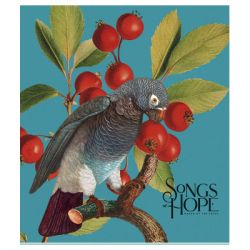 ����� �������� Birds 96 ������� ������� (096-3410K)