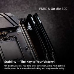 ������ ������ ��� ���������� DDR5 64GB (2x32GB) 6000 MHz Viper Elite 5 Ultra RGB Patriot (VEUR564G6028K) - �������� 10