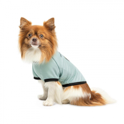 Футболка для тварин Pet Fashion Oscar XS2 блакитна (4823082441372) - Картинка 3