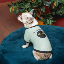 Футболка для тварин Pet Fashion Oscar XS2 блакитна (4823082441372) - Картинка 4