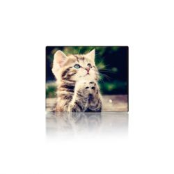 ������ ��� ����� Voltronic CAT3 (YT-CAT3)