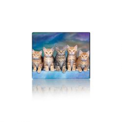 ������ ��� ����� Voltronic Five Cats (YT-CAT30)