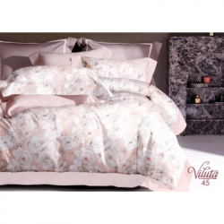   Viluta    45  (45_EB_ev)