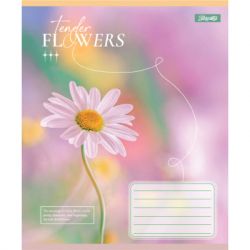 ������� 1 ������� Tender Flowers �5 24 ������ ������ (768076) - �������� 5