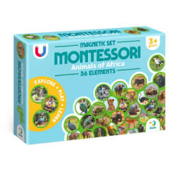   DoDo      :  (200284)