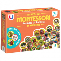   DoDo      :  (200285)