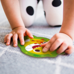 ���� DoDo 2-3-4 �������� Baby Shark (200587) - �������� 6