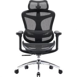 Офисное кресло Sihoo DORO C300L Mesh Black (DORO-C300L-A3-101) - Картинка 2