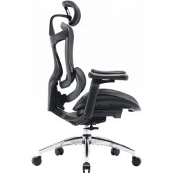 Офисное кресло Sihoo DORO C300L Mesh Black (DORO-C300L-A3-101) - Картинка 4