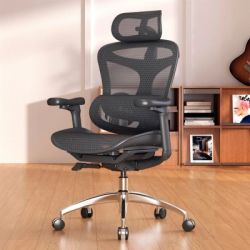 Офисное кресло Sihoo DORO C300L Mesh Black (DORO-C300L-A3-101) - Картинка 5