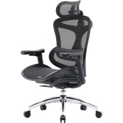   Sihoo DORO C300L Mesh Black (DORO-C300L-A3-101)