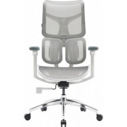 Офисное кресло Sihoo DORO S100 Mesh White (S100-M302) - Картинка 2