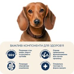 Сухой корм для собак Home Food ADULT MINI Grain-free hypoallergenic с уткой и индейкой 300 г (4820290090194) - Картинка 5