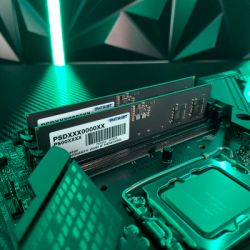 Модуль пам'яті для комп'ютера DDR5 32GB (2x16GB) 4800 MHz Signature Line Patriot (PSD532G4800K) - Картинка 4