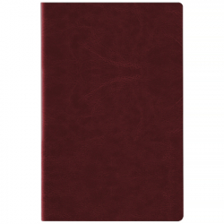 ������������ Axent ������������ 2026 Partner City Soft, 145�210, ���������� (8821-26-05-A) - �������� 4