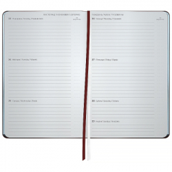 �������� Axent ��������� 2026 Partner City Soft 125�195, ���������� (8521-26-05-A) - �������� 5