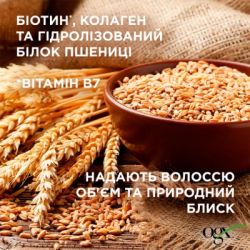 ���� ��������� OGX ��������� ������� � ��������� ��� ��'��� �� �������� ������� ������� + ����������� (3574661864952) - �������� 5