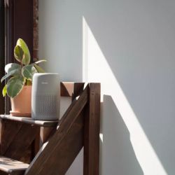 ����������������� Levoit Air Purifier Core Mini PRO LAP-C161-AEUR (HEAPAPLVNEU0141Y) - �������� 7