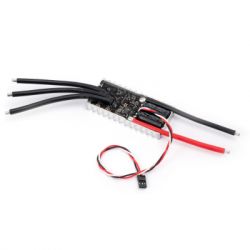   (ESC) VTN VR100A 12S-AM32 (R10012)